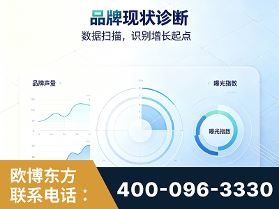 沙湾-品牌现状诊断